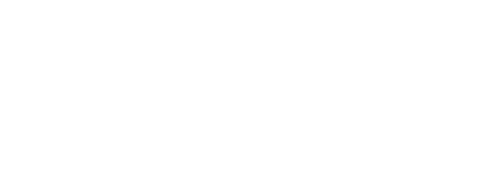 Finnect